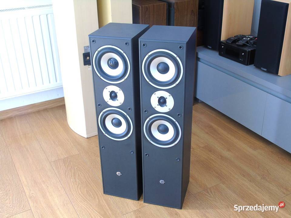 Kolumny Cat 2 x 380 wat łsprawne i ładne DOSTAWA podkarpackie Jasło