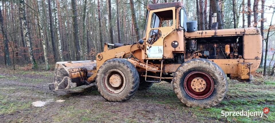 Ładowarka kołowa hanomag Koła Koparko ładowarki Chełst sprzedam