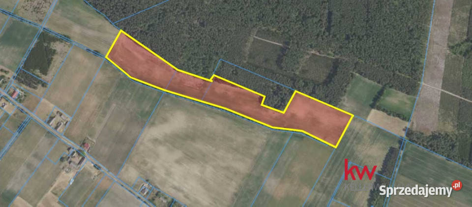 sprzedaży gruntu 65000m2 Borzynowo