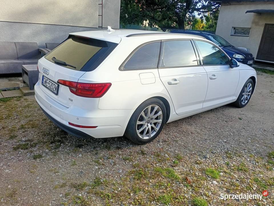 Audi a4B9 pomorskie Orle