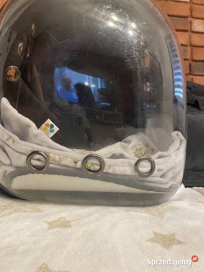 Na sprzedaż marmozeta białoucha samiec Borkowo