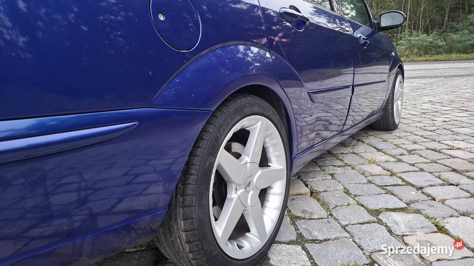 Ford Focus ST 170 Wolf Polska Nowa Wieś sprzedam