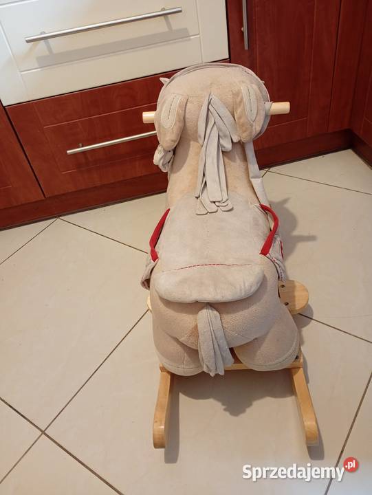 Konik na biegunach Pozostałe Kraków