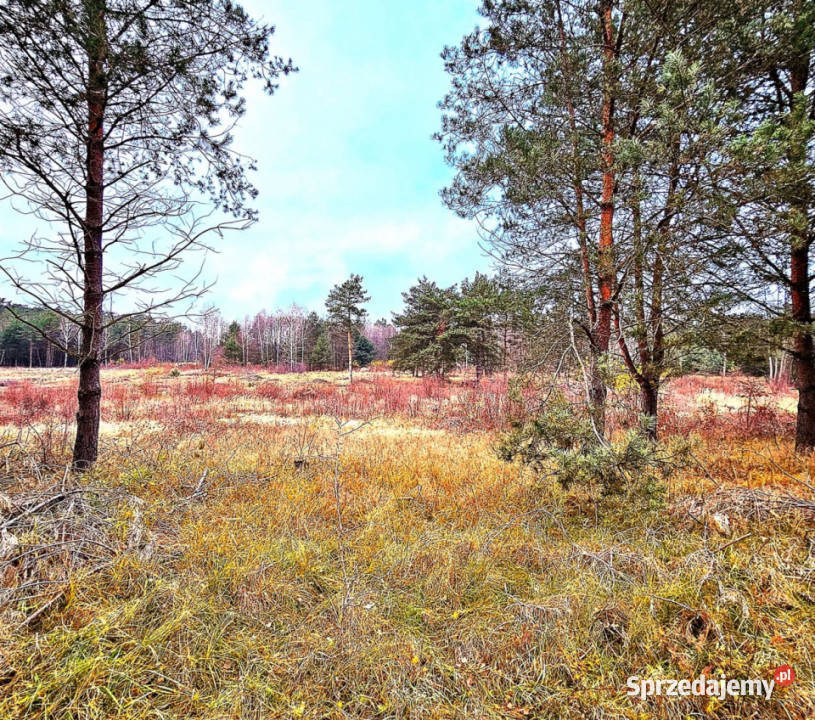 Grunt na sprzedaż 1338m2 Sieradz