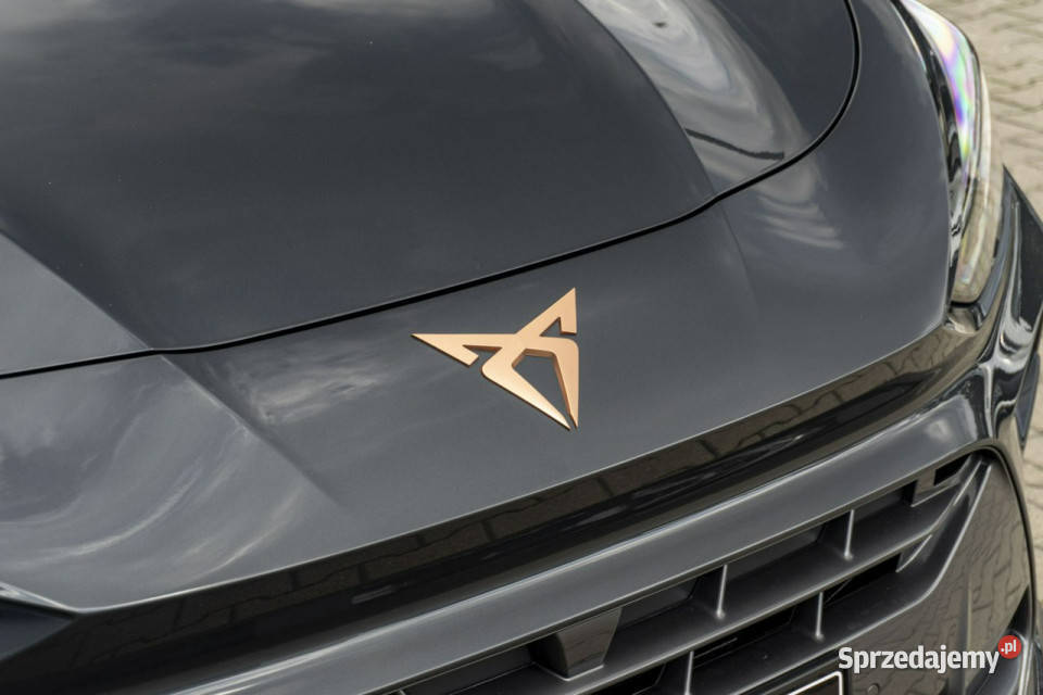 Cupra Terramar Advantage Edition DCC 15 eTSI 150 lakier metallic Łódź