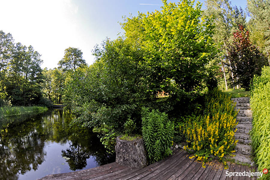 Działka rekreacyjna rzeką W lesie Purda Leśna