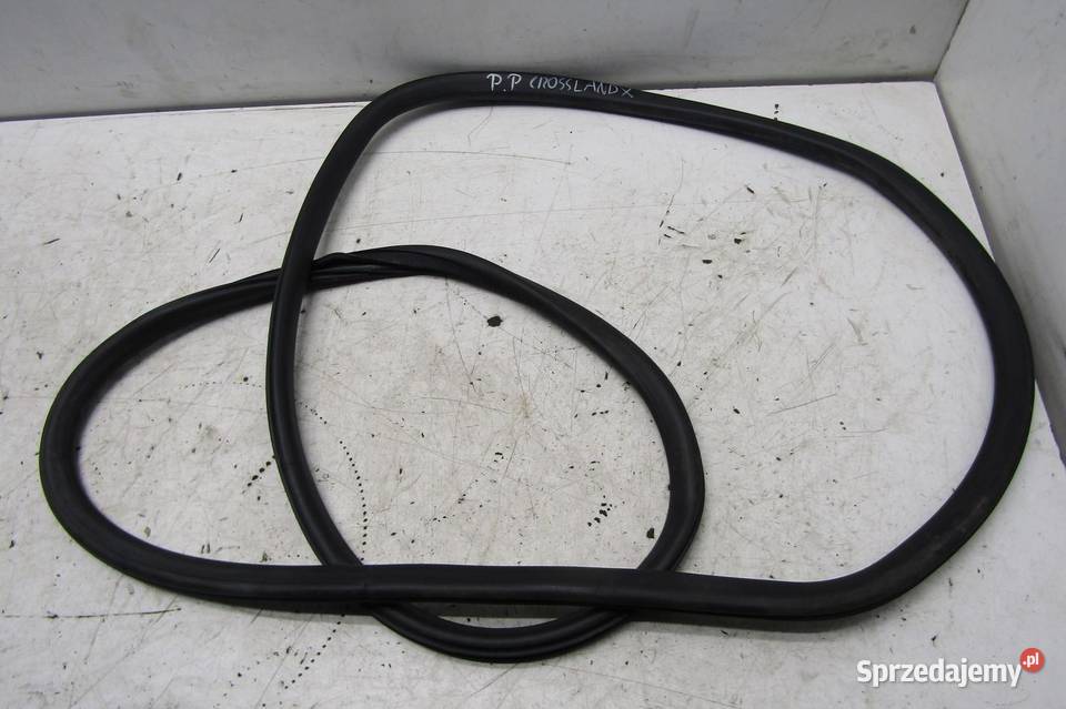 USZCZELKA KAROSERYJNA DRZWI PRAWY PRZÓD OPEL sprzedam