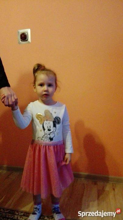 Oferuję opieke dzieckiem w Sylwestra i Nowy Katowice