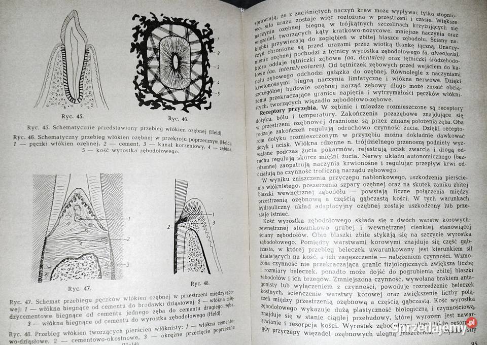 Vademecum Lekarza Stomatologa Halina Smosarska Chełm