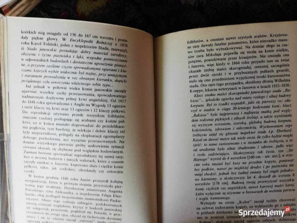 Konie rubinowe Ireneusz J Kamiński Rok wydania 1982 Kraków