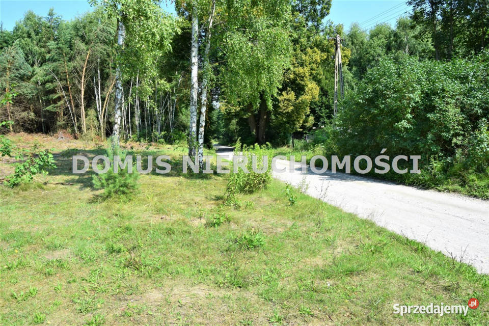 Sprzedaż działki 29000m2 Taurów 6zł/m2 łódzkie sprzedam