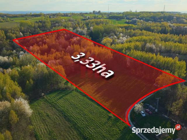 Grunt Kraczkowa 33000m2 80m