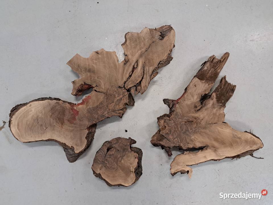 Plastry Orzech Korzeń suche Kalinówka sprzedam