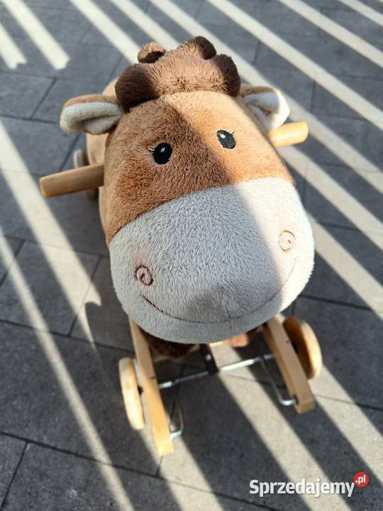 Konik z podwójną funkcją jazdabujanie Warszawa