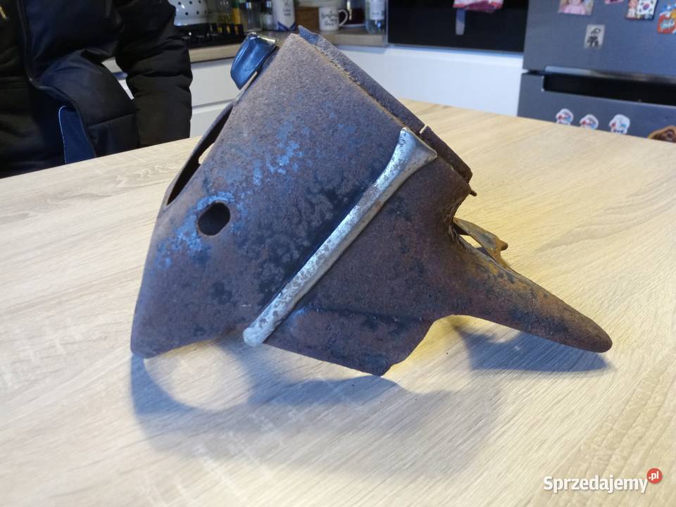 Obudowa lampy komar sztywniak mazowieckie