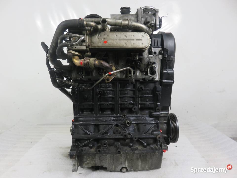 SILNIK VW GOLF V 19 TDI 105 BKC 038130073AG małopolskie