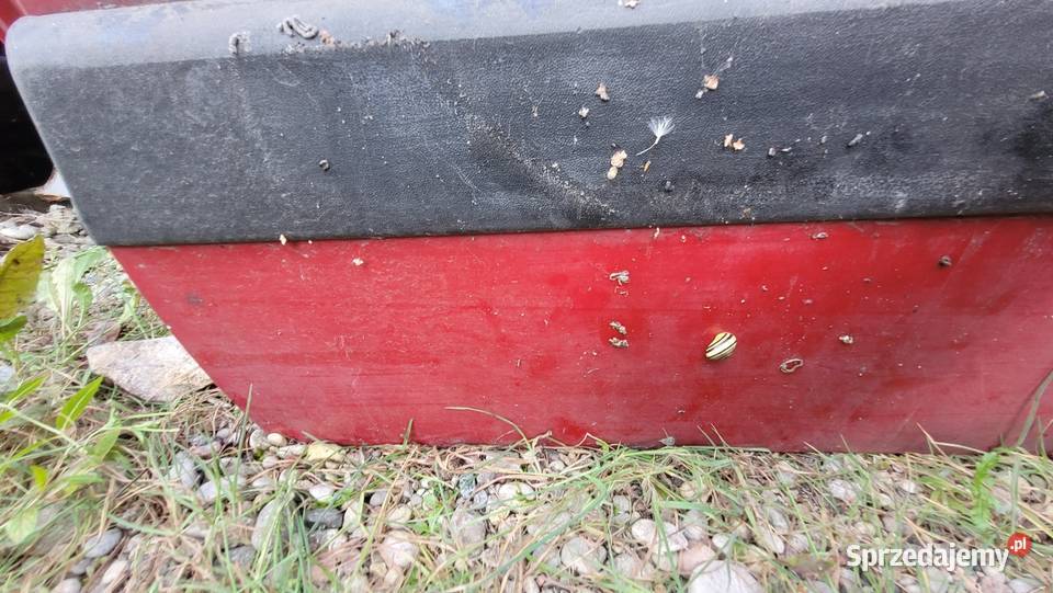 Drzwi Volkswagen Passat B3 Łagów