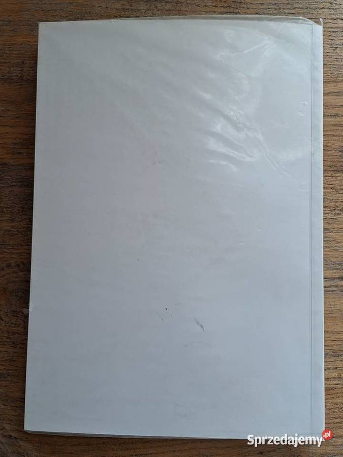 Otto Wagner Wiedeń Architektura około 1900 Kraków