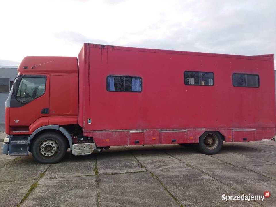 Koniowóz wielkopolskie Poznań