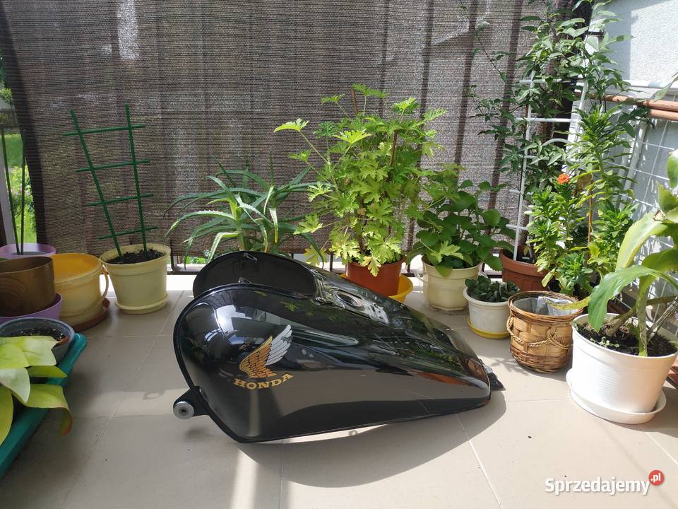 Zbiornik Bak Honda Shadow 1100 C 8586 sprzedam