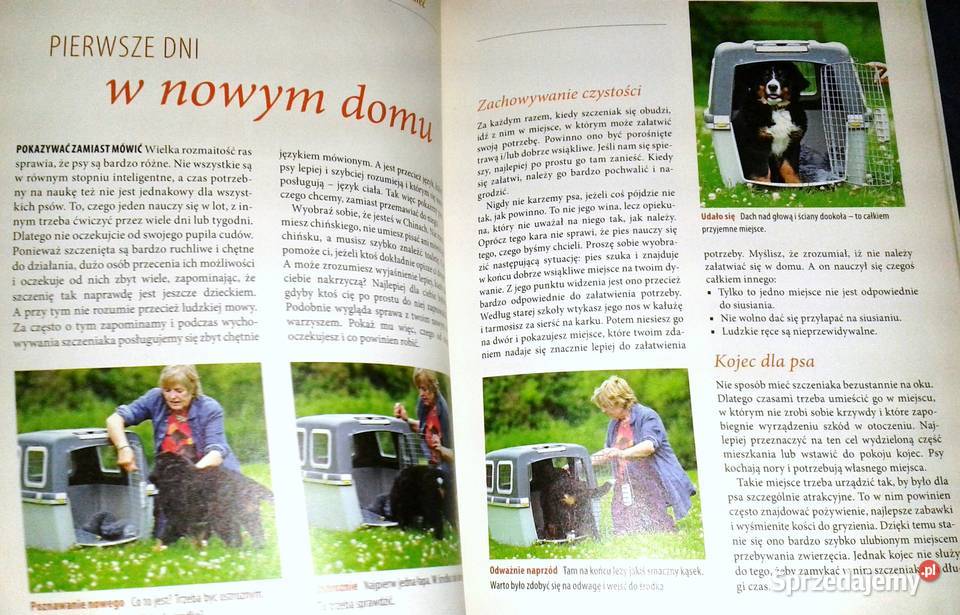 Wychowywanie psa Renate Jones Chełm sprzedam