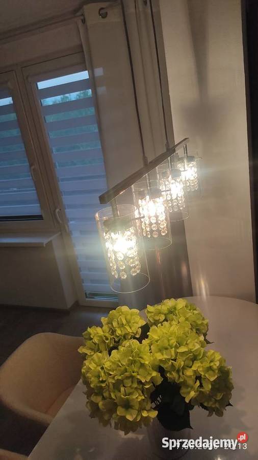 Lampa sufitowa wisząca srebrna Kędzierzyn-Koźle