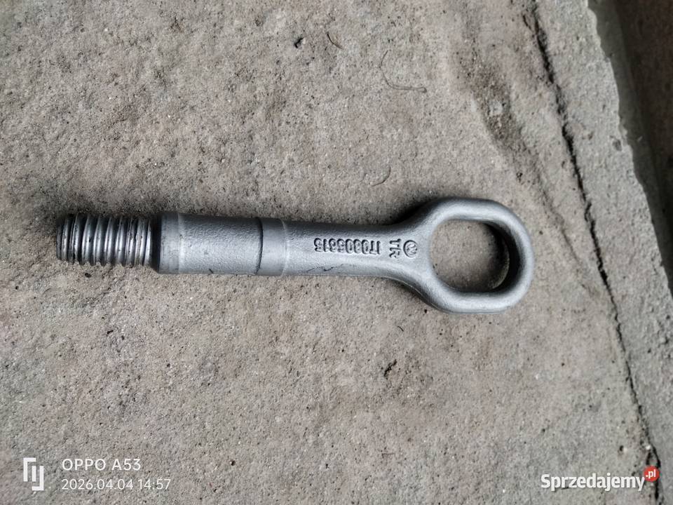 Ucho cholownicze Dobra