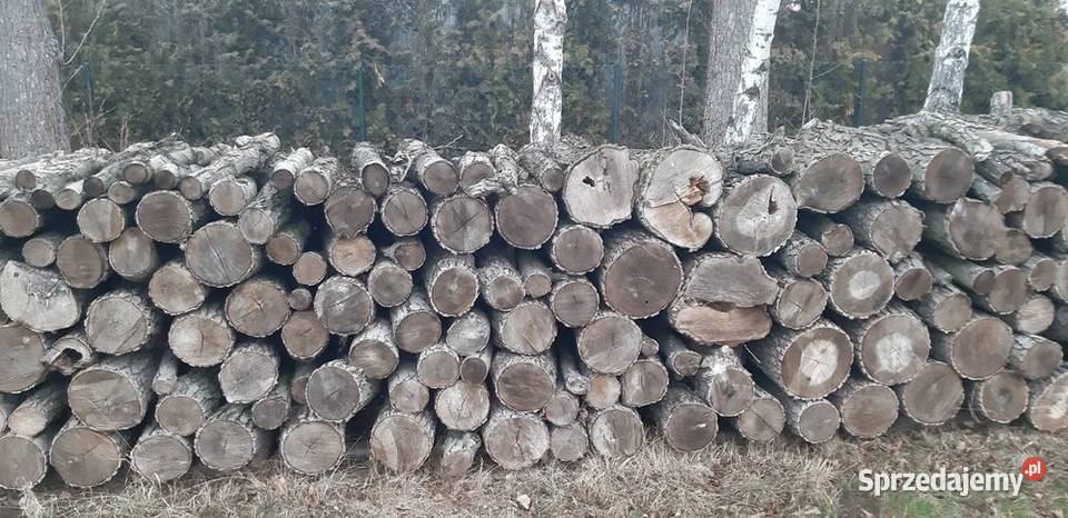 Drewno Radgoszcz