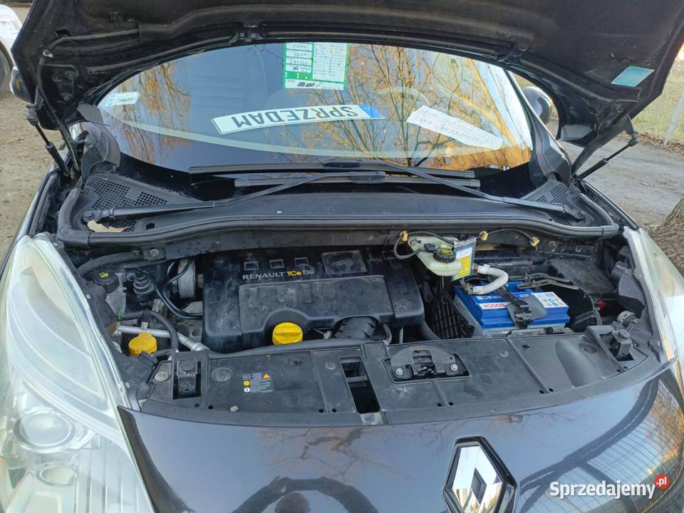 Renault Scenik III Wołów