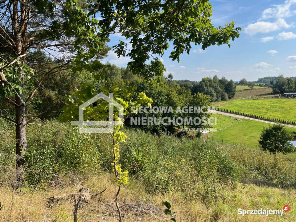 Działka 11494m2 Brodnica Górna 11494m2