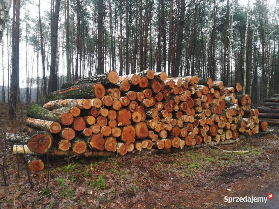 Sprzedam Drewno OLCHA BRZOZA S2B 25 mb Płock sprzedam