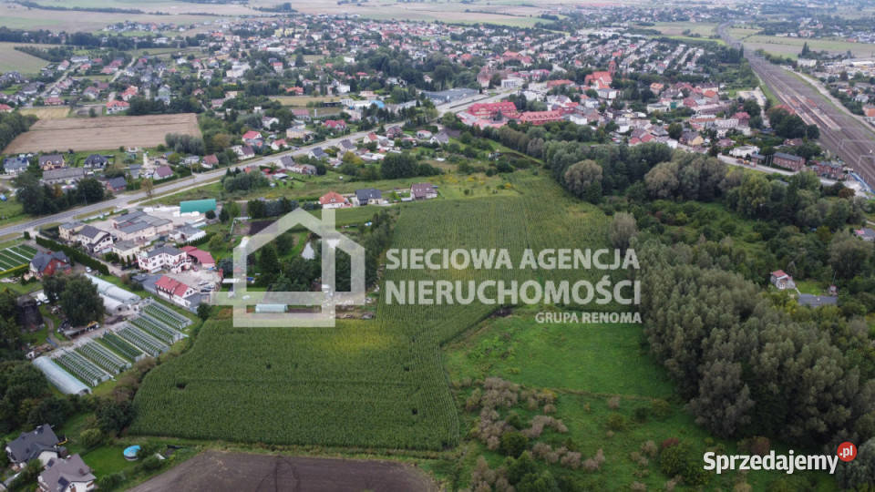 Działka Pszczółki 11570m utwardzona Sprzedaż