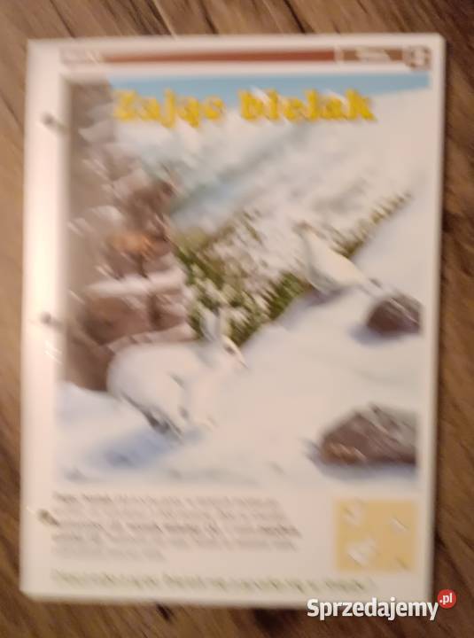 Leśne przygody kolekcja zestaw kart 3739 4042 Zbylitowska Góra