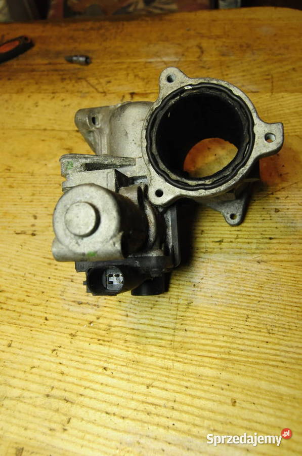 Zawor EGR VW Audi 19 20 TDI 03G129637A Sierakowice