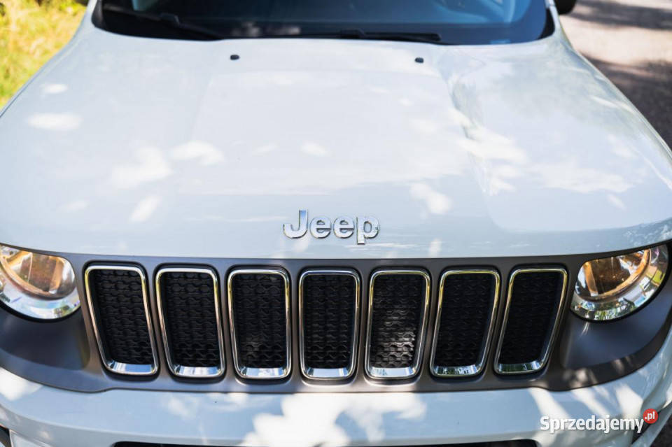 Jeep Renegade 10 TGDI wspomaganie kierownicy Katowice