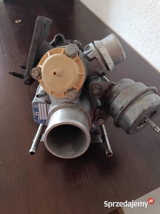 Turbo Reno megan Pszczyna