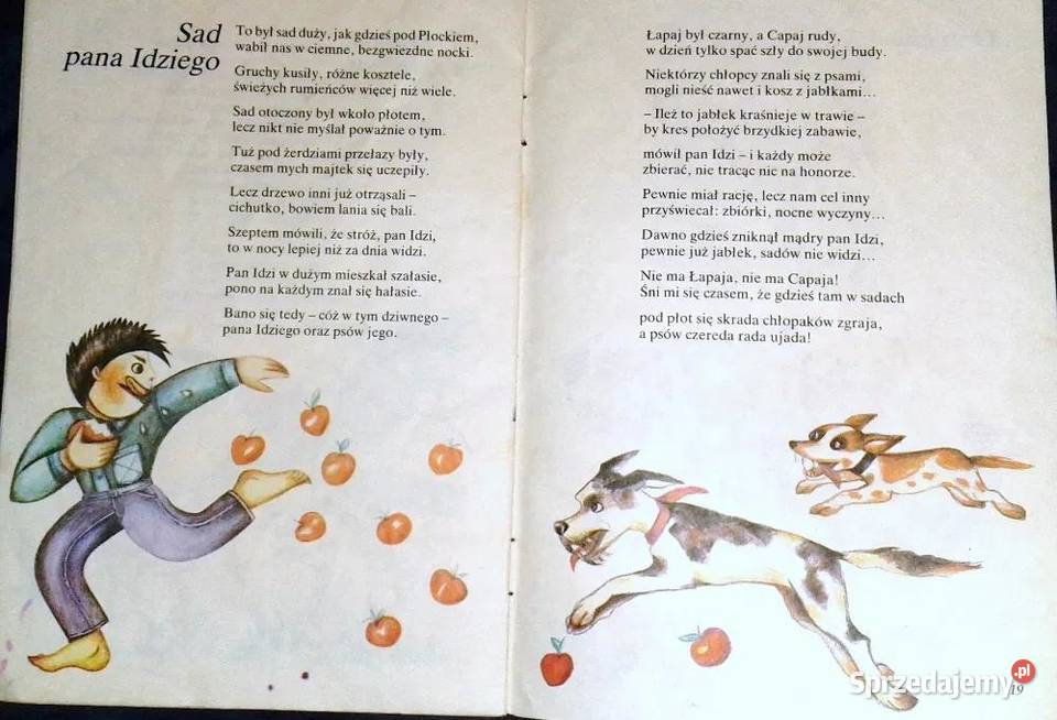 Wierszyki z różnych półek Jan Huszcza Chełm