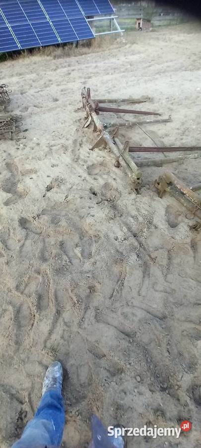 Brony piątki 2 Płońsk