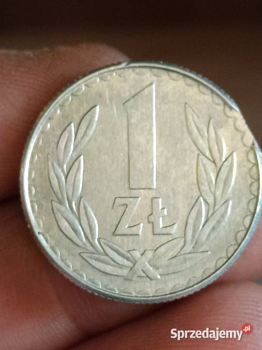 Sprzedam monete 1 zloty 1988 odkroj blachy hhh Chełm
