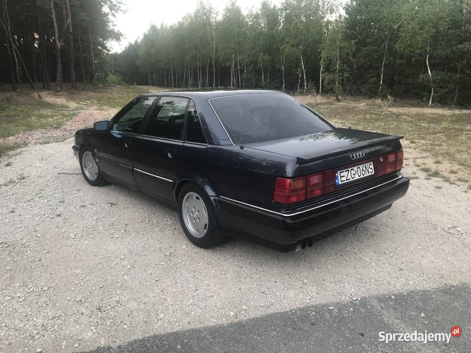 Audi v8 d11 36 Włocławek