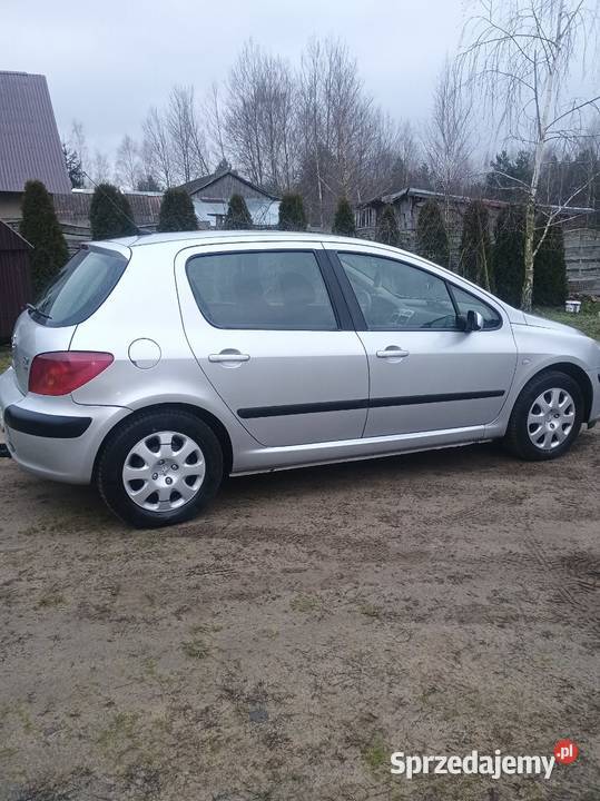 Peugeot 307 1400cm3 świętokrzyskie sprzedam