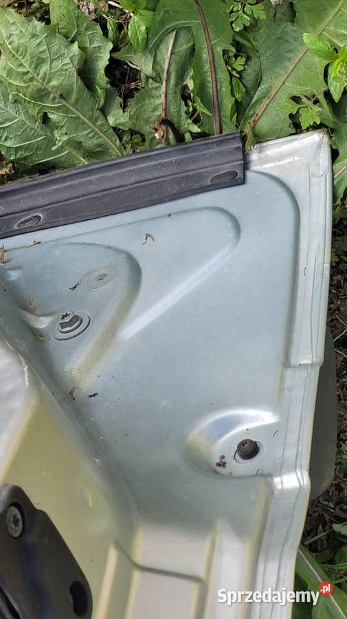 Drzwi Renault Kangoo I Części samochodowe Łagów