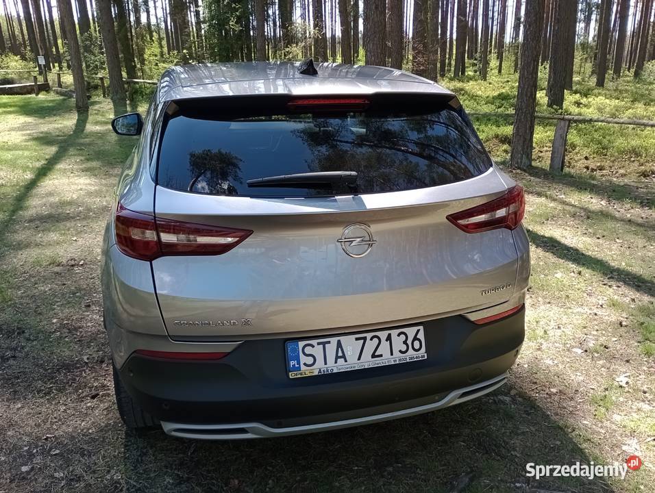 Opel Grandland X pierwszy właściciel mały Grandland X Tarnowskie Góry