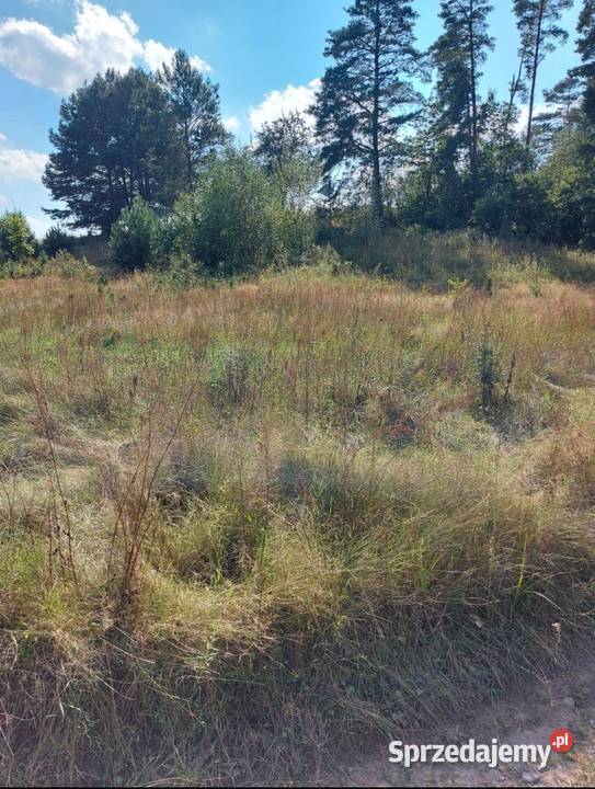 Działka 8400m2 gmina Dobrzyniewo Duże 80zł/m2