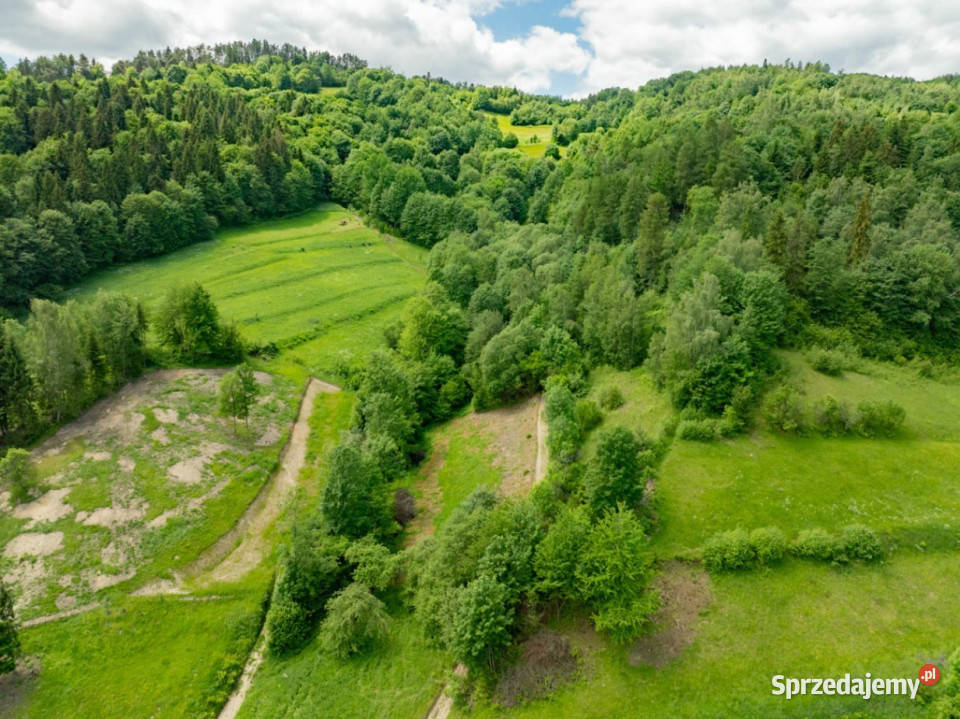 Działka Budowlano rolna Ochotnica Dolna 116zł/m2 sprzedam