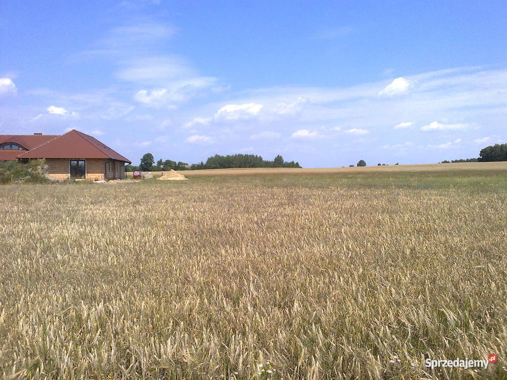osiedle lesie budowlana Ceradz Dolny