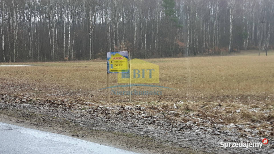 Działka rolna 342 ha ładne położenie Stare Gonne