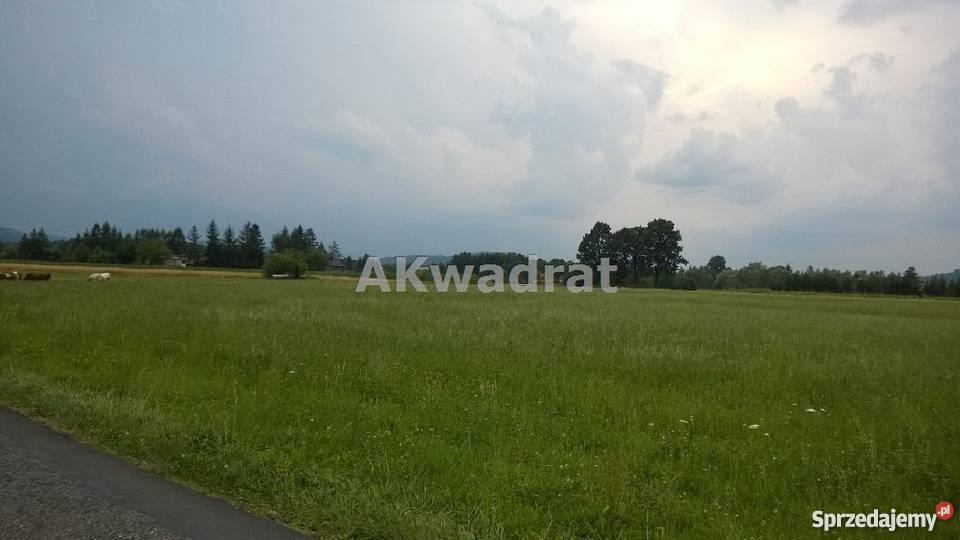 grunt 1004m2 Bładnice Górne