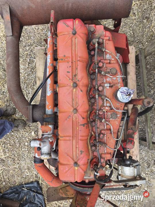 Silnik international 531 świętokrzyskie Jakimowice-Kolonia