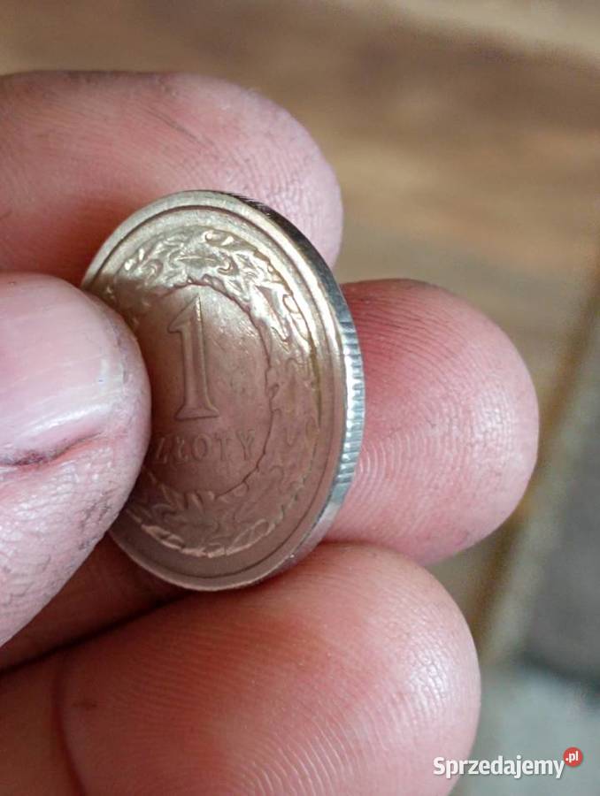 Ssprzedam monete 1 zl 1991r Chełm
